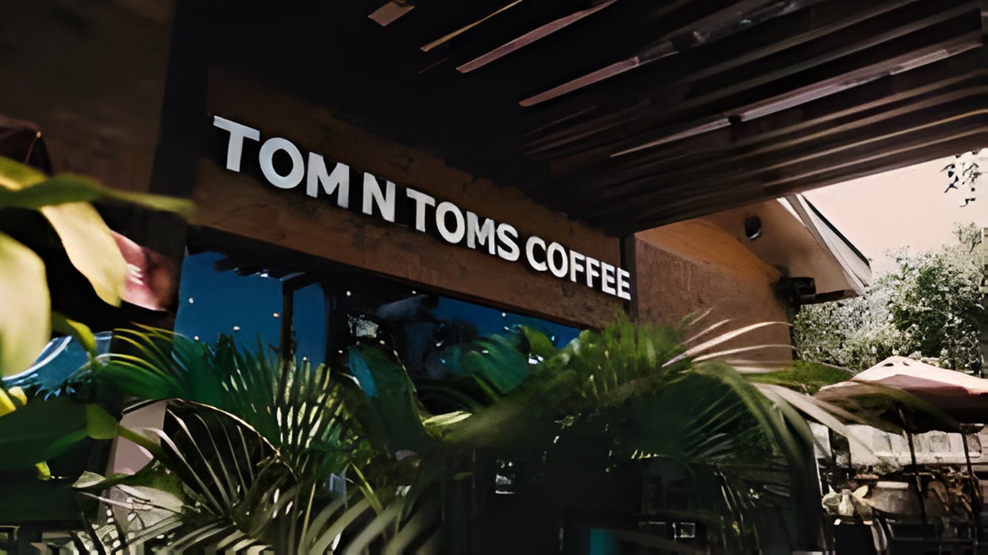Tom N Toms Coffee